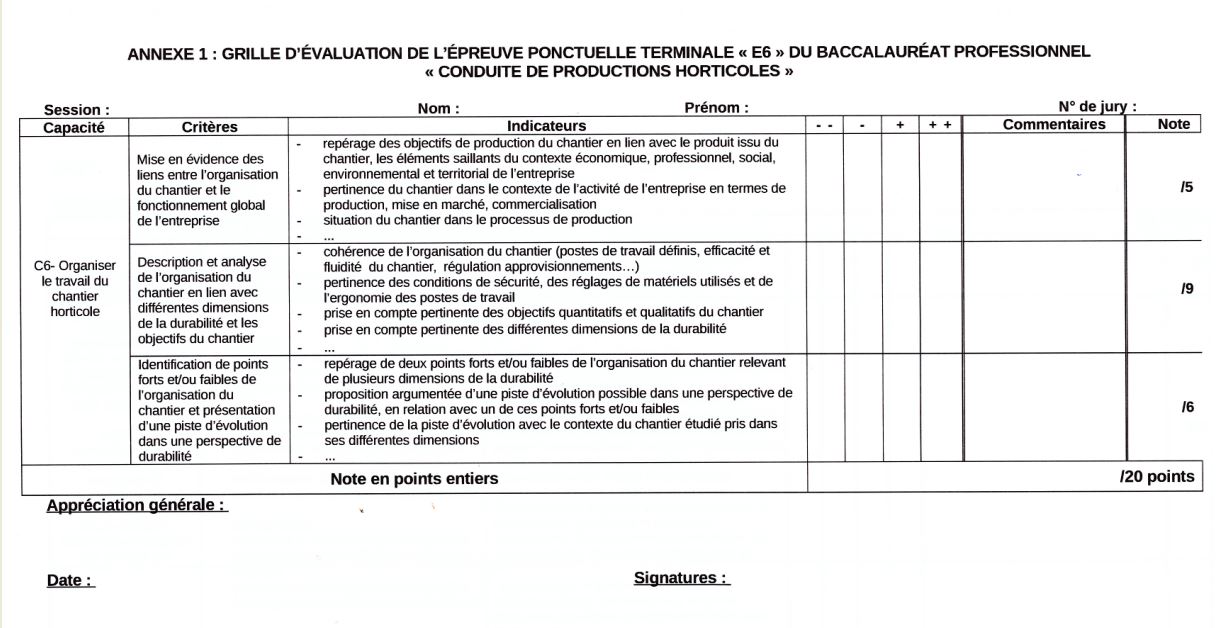 Lépreuve E6 ou soutenance du dossier professionnel PLANTAGOJI